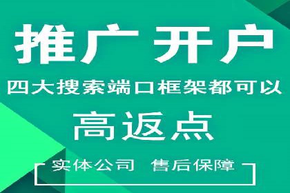 某某sem代运营公司成功案例：提高转化率